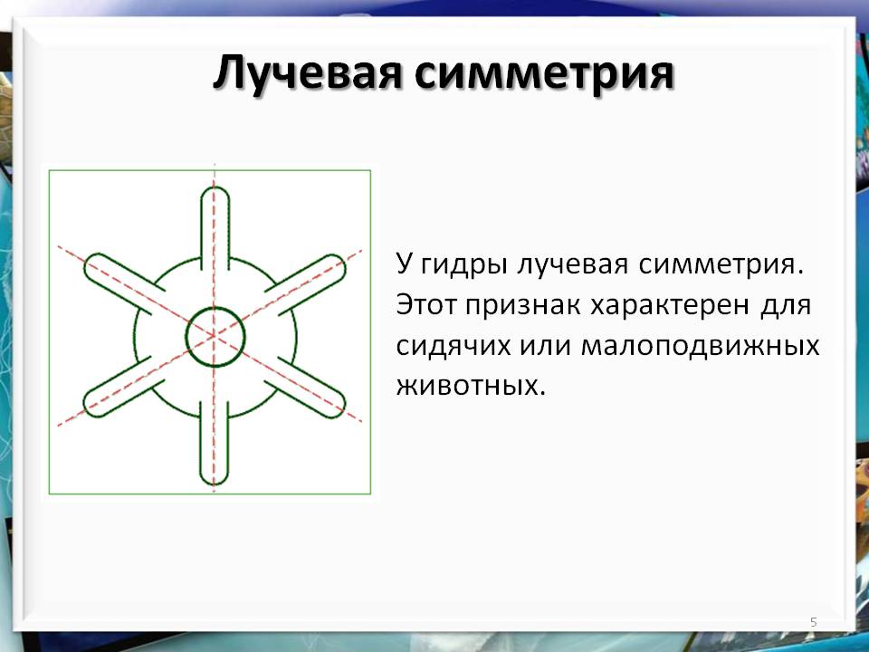 Какая комиссия кракен маркетплейс