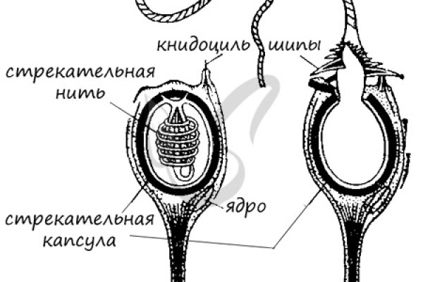 Кракен что можно купить