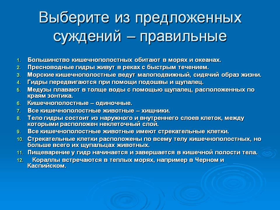 Через какой браузер зайти на кракен